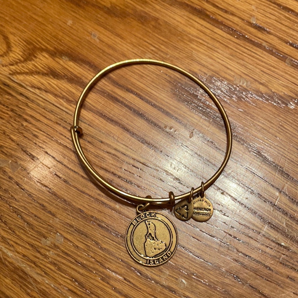 Alex Ani Block Island Gold Bracelet 8$